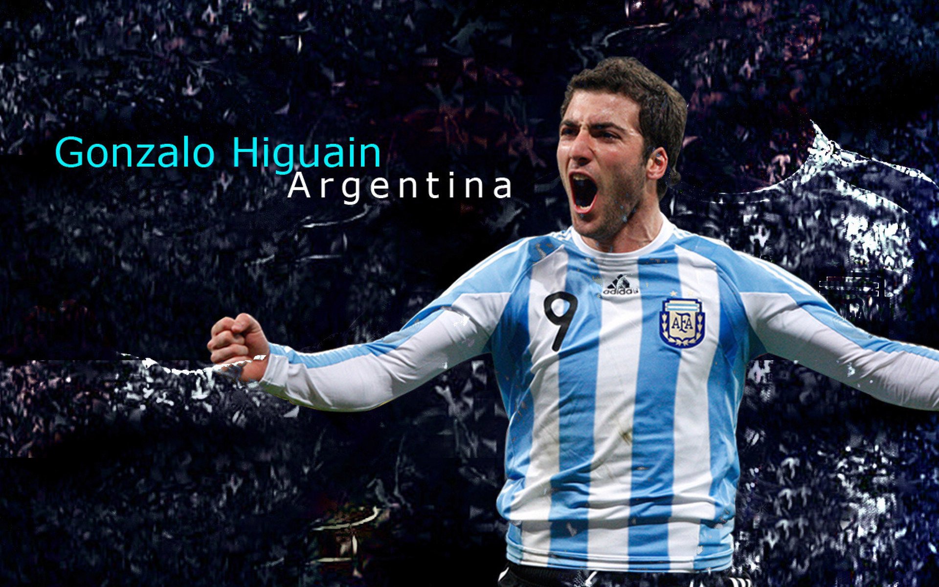 德甲联赛的粉丝文化多样化,德甲 球迷